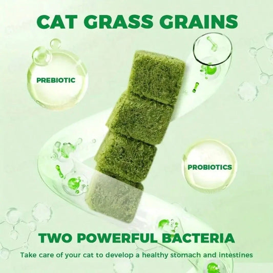 Freeze-Dried Probiotic Cat Treats – Hairball & Digestive Support