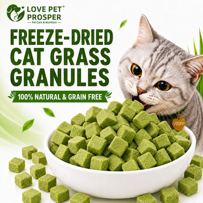 Freeze-Dried Probiotic Cat Treats – Hairball & Digestive Support