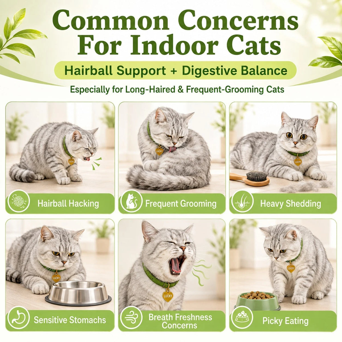 Freeze-Dried Probiotic Cat Treats – Hairball & Digestive Support
