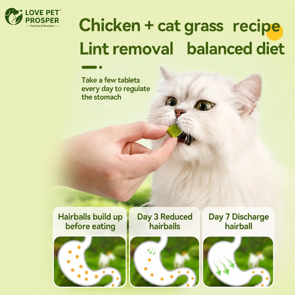 Freeze-Dried Probiotic Cat Treats – Hairball & Digestive Support