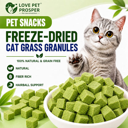 Freeze-Dried Probiotic Cat Treats – Hairball & Digestive Support