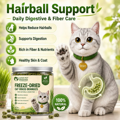 Freeze-Dried Probiotic Cat Treats – Hairball & Digestive Support
