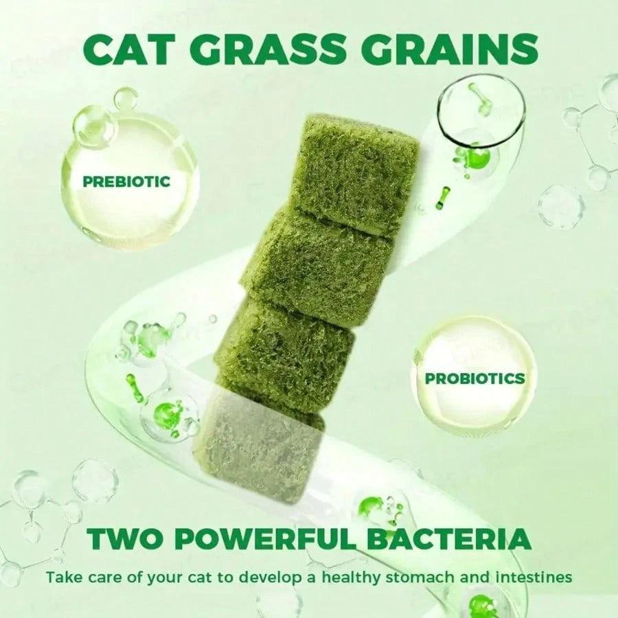 Freeze-Dried Probiotic Cat Treats – Hairball & Digestive Support