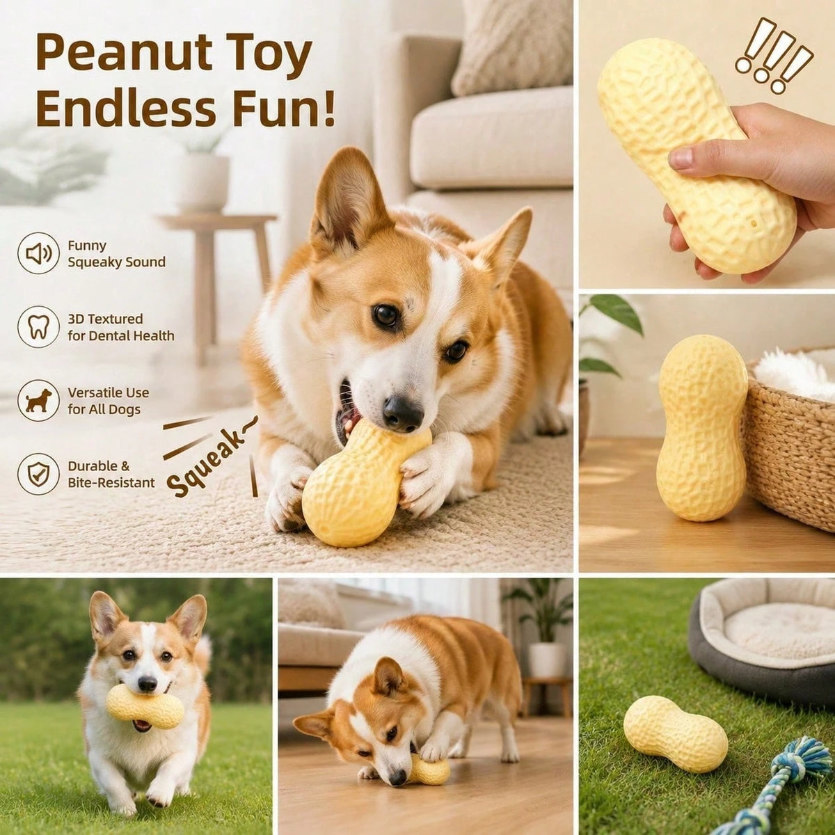 1pc TPR Material Realistic Peanut Shaped Dog Chew Toy, Durable With Scent, Suitable For Puppy Teething, Textured Design Helps Clean Teeth, Suitable For Small And Medium Dogs, Interactive Squeaky Toy, Can Relieve Boredom