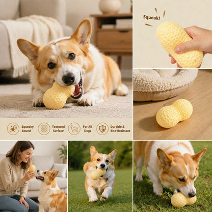 1pc TPR Material Realistic Peanut Shaped Dog Chew Toy, Durable With Scent, Suitable For Puppy Teething, Textured Design Helps Clean Teeth, Suitable For Small And Medium Dogs, Interactive Squeaky Toy, Can Relieve Boredom